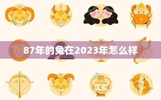 87年的兔在2023年怎么样，87年2023年属兔人的全年运势