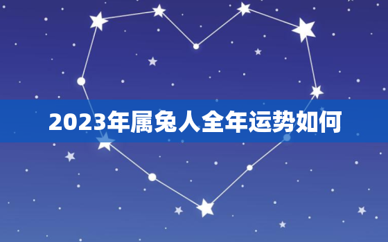 2023年属兔人全年运势如何，2023年属兔人运气