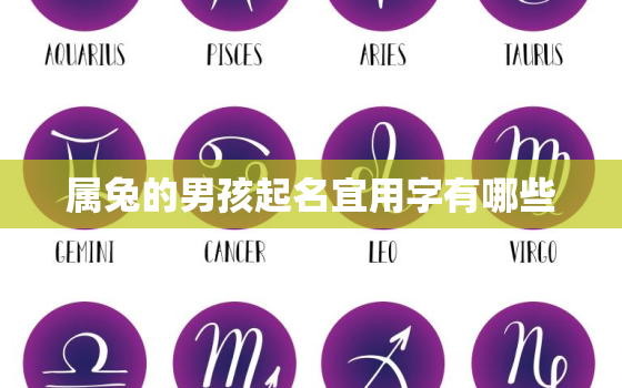 属兔的男孩起名宜用字有哪些，属兔的男孩起什么名字最好