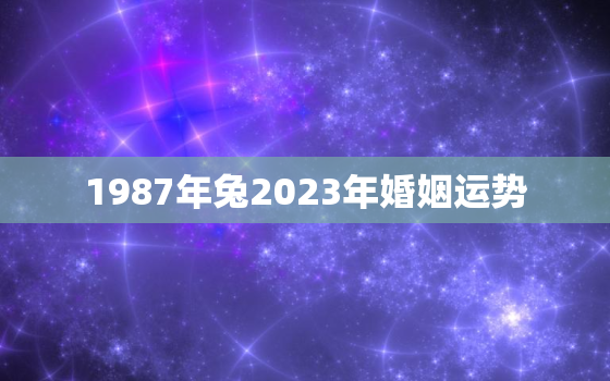 1987年兔2023年婚姻运势，1987年兔2023运势及运程