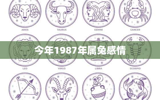 今年1987年属兔感情，1987年属兔今年的婚姻