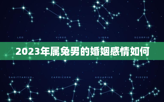 2023年属兔男的婚姻感情如何，2023年属兔男的是什么命