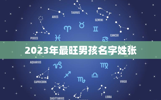 2023年最旺男孩名字姓张，2021年
宝起名字姓张