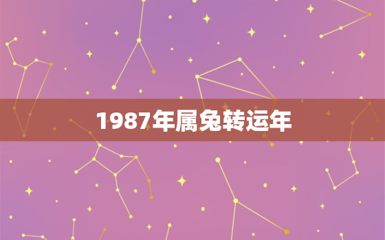 1987年属兔转运年，1987年属兔人转运年