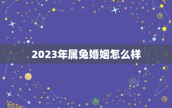 2023年属兔婚姻怎么样，2023年属兔人