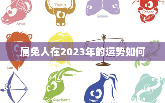 属兔人在2023年的运势如何，属兔的2023年运势怎么样