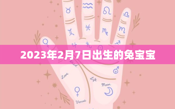 2023年2月7日出生的兔宝宝，2023年2月7日是农历多少