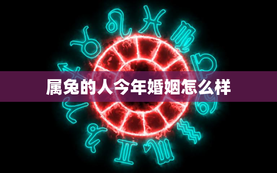 属兔的人今年婚姻怎么样，属兔男人最佳妻子