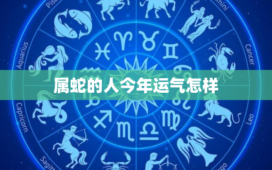 属蛇的人今年运气怎样，属蛇的人今年的运气怎么样啊?