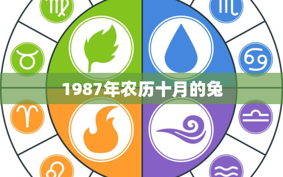 1987年农历十月的兔，1987年农历十月属兔的人