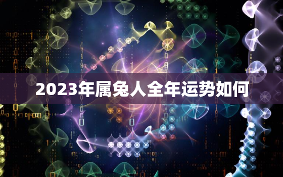 2023年属兔人全年运势如何，2023年属兔人全年运势如何