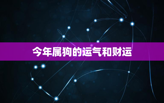 今年属狗的运气和财运，今年属狗的运气和财运如何