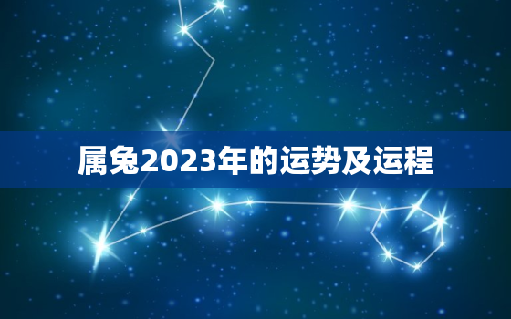 属兔2023年的运势及运程，属兔2023年的运势及运程75