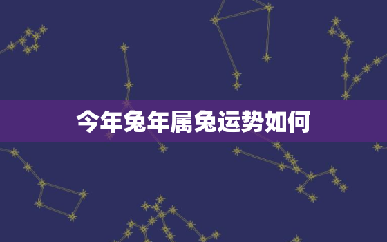 今年兔年属兔运势如何，今年属兔运势如何2021