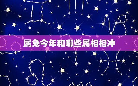 属兔今年和哪些属相相冲，属兔今年好不