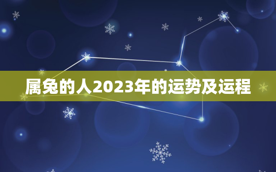 属兔的人2023年的运势及运程，属兔今年运气