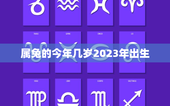 属兔的今年几岁2023年出生，属兔的今年几岁2020