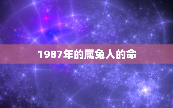 1987年的属兔人的命，1987年属兔人的命格