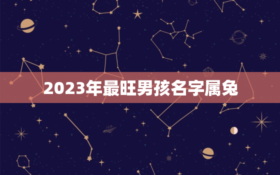 2023年最旺男孩名字属兔，2023年属兔人起名字