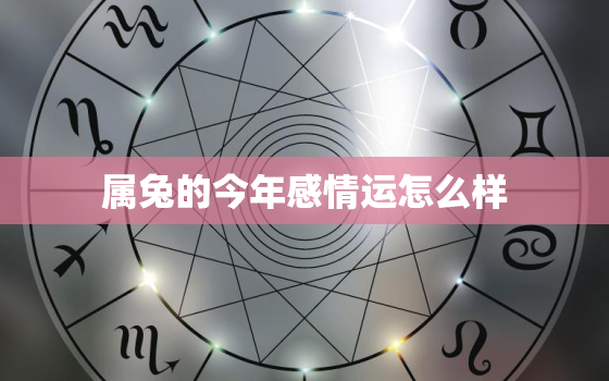 属兔的今年感情运怎么样，属兔人今年感情方面2021年