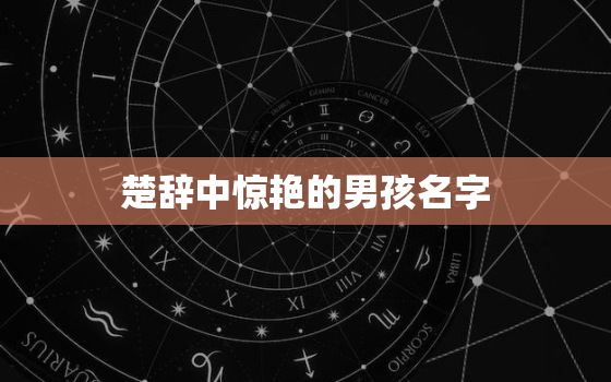 楚辞中惊艳的男孩名字，男孩名字