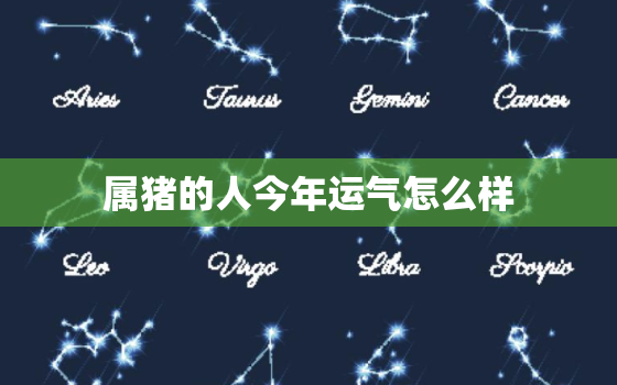 属猪的人今年运气怎么样，83年属猪39岁有一灾