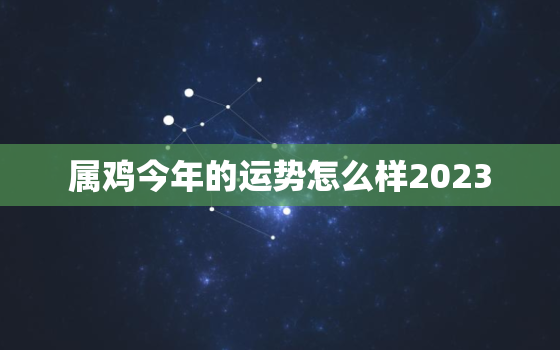 属鸡今年的运势怎么样2023，属鸡今年的运势怎么样2023年结婚