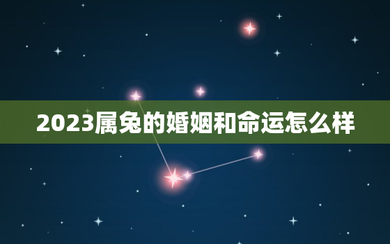 2023属兔的婚姻和命运怎么样，2023年属兔