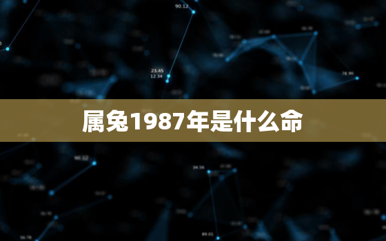 属兔1987年是什么命，属兔1987年是什么命男事业