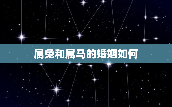 属兔和属马的婚姻如何，属兔和属马的婚姻如何的合不合