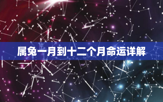 属兔一月到十二个月命运详解，属兔的十二个月的命运