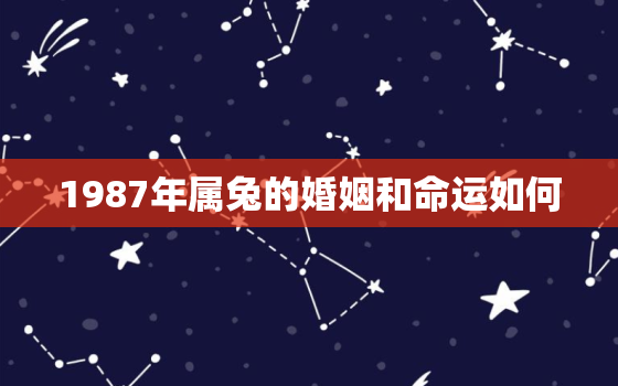 1987年属兔的婚姻和命运如何，1987年属兔的命运和婚姻怎么样?