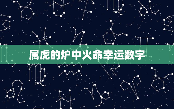 属虎的炉中火命幸运数字，炉中火虎人的幸运数字