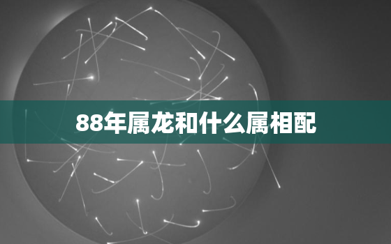 88年属龙和什么属相配，88年属龙和什么属相配对