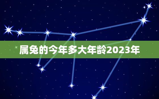 属兔的今年多大年龄2023年，属兔的今年多大2022