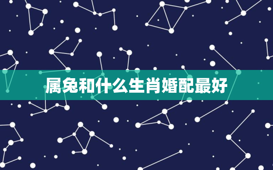 属兔和什么生肖婚配最好，属兔和什么生肖最配婚姻