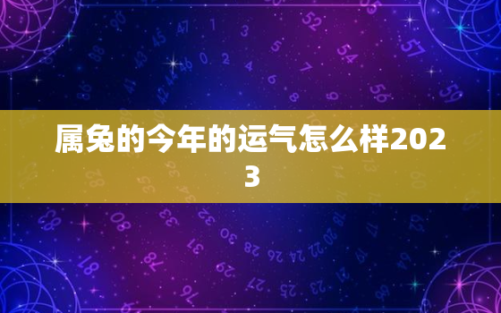 属兔的今年的运气怎么样2023，属兔的人今年运气好吗