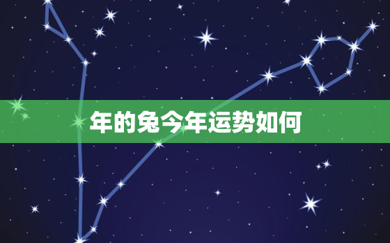 

年的兔今年运势如何，

年兔今年运程