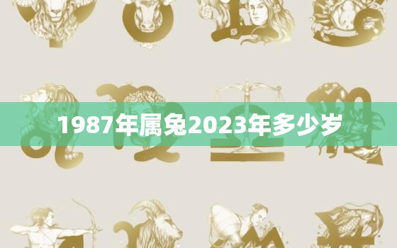 1987年属兔2023年多少岁，1987年属兔人2023