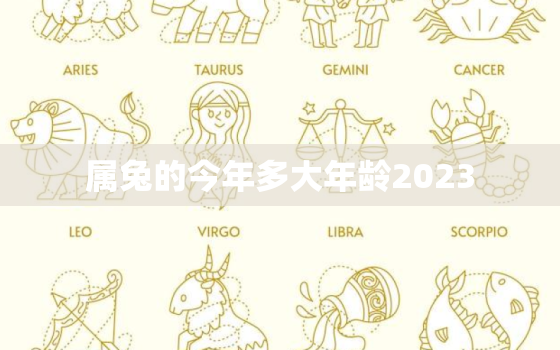 属兔的今年多大年龄2023，属兔的今年多大年龄2023了