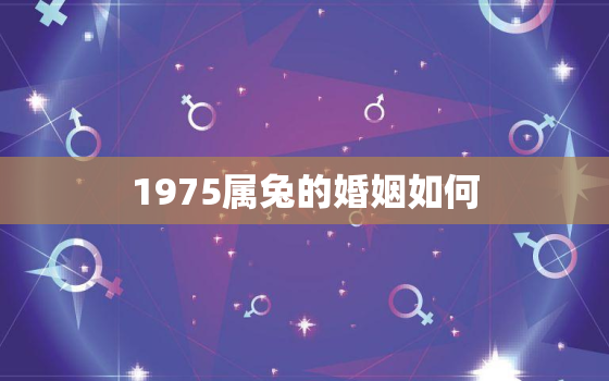 1975属兔的婚姻如何，1975属兔情感婚姻