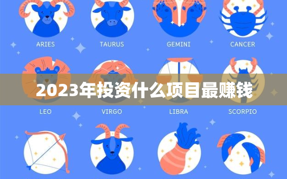 2023年投资什么项目最赚钱，2023干什么小生意好