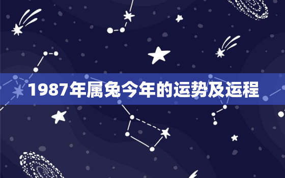 1987年属兔今年的运势及运程，1987年属兔今年的运气