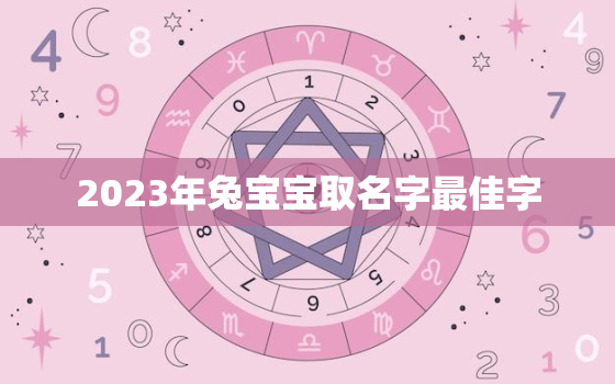 2023年兔宝宝取名字最佳字，2023年兔宝宝取名字最佳字男孩