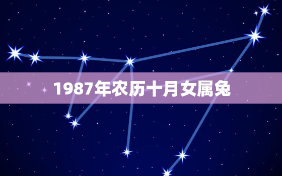 1987年农历十月女属兔，1987年农历十月属兔买房几楼最好