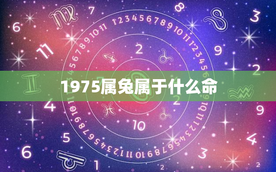 1975属兔属于什么命，1975属兔是什么命人