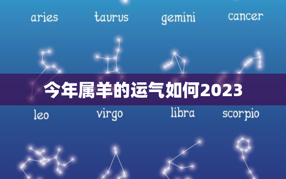 今年属羊的运气如何2023，属羊人今年运势2023年每月运势