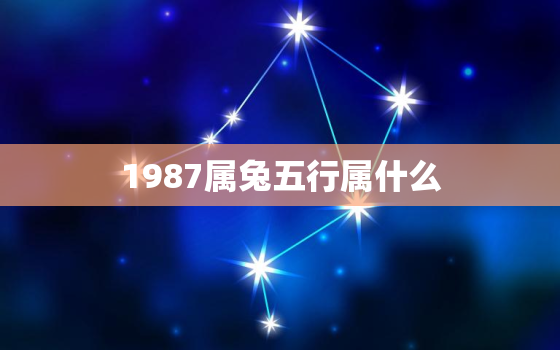 1987属兔五行属什么，1987兔属于五行属什么