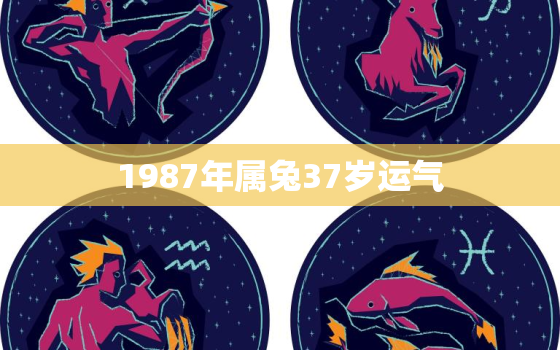 1987年属兔37岁运气，1987年兔37岁后财运