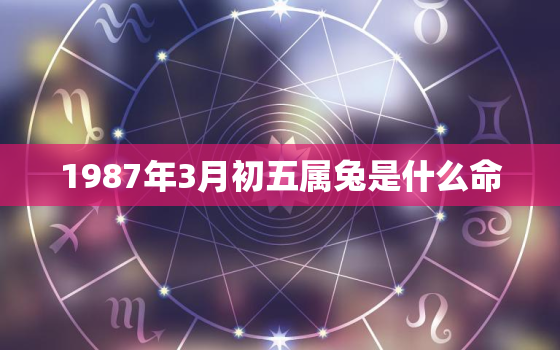 1987年3月初五属兔是什么命，1987年3月初5是什么命